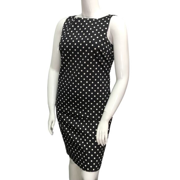 Lauren Ralph Lauren Polka Dot Sleeveless Dress Shift Rear Zip NEW without Tags - Picture 4 of 13